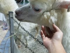 -上海大自然野生昆虫馆(东方明珠·爬宠昆虫探索中心)