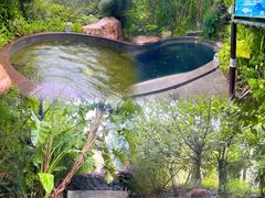 -世界恐龙谷景区