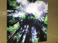 -招商银行(北京双榆树支行)