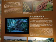 -中国酒文化城
