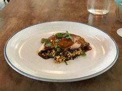 -植物园哈利亚餐厅