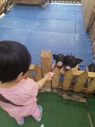 -萌宠亲子动物乐园(槐房万达店)