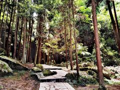 -梭布垭石林景区