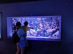 -成都浩海立方海洋公园