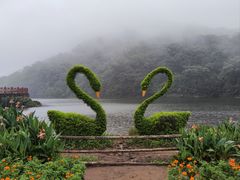 -广州市石门国家森林公园