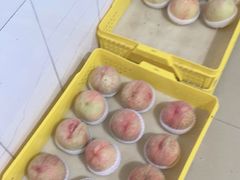 -老袁家蜜桃农场·阳山水蜜桃