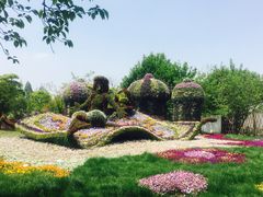 -上海植物园-4号门售票处