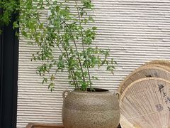-五观堂素食(新华路店)