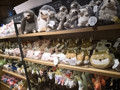 -九木杂物社(恒隆广场店)