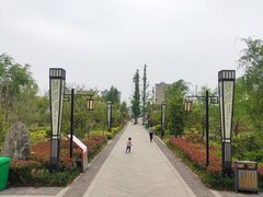 -南湖国家城市湿地公园