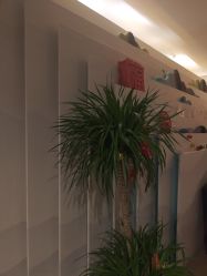 点击看大图 -iSpa