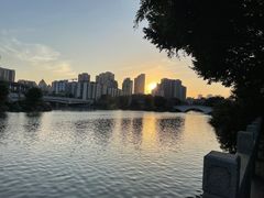 -光明港公园