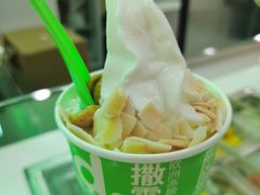 -Salud撒露欧洲冻酸奶(五道口购物中心店)