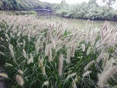 -芸海阁·农家私房菜(沙家浜景区出口店)