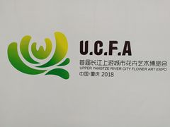 -重庆市江北嘴中央商务区中央公园