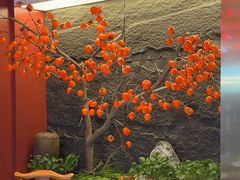 -清真·金城老碗牛肉面揪面片(兰州总店)