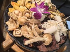 -一朵菌·野生菌探索家火锅(南亚店)