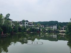 -铁山坪森林公园