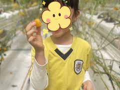 -伊顿幼儿园(济南大地锐城校区)