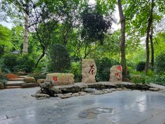 -金花茶公园