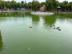 -龙口动植物园