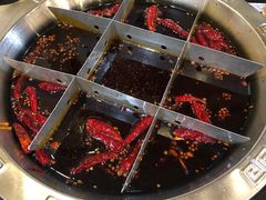 微微辣红汤锅底-大龙火锅(老店)