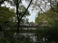 -乌镇景区