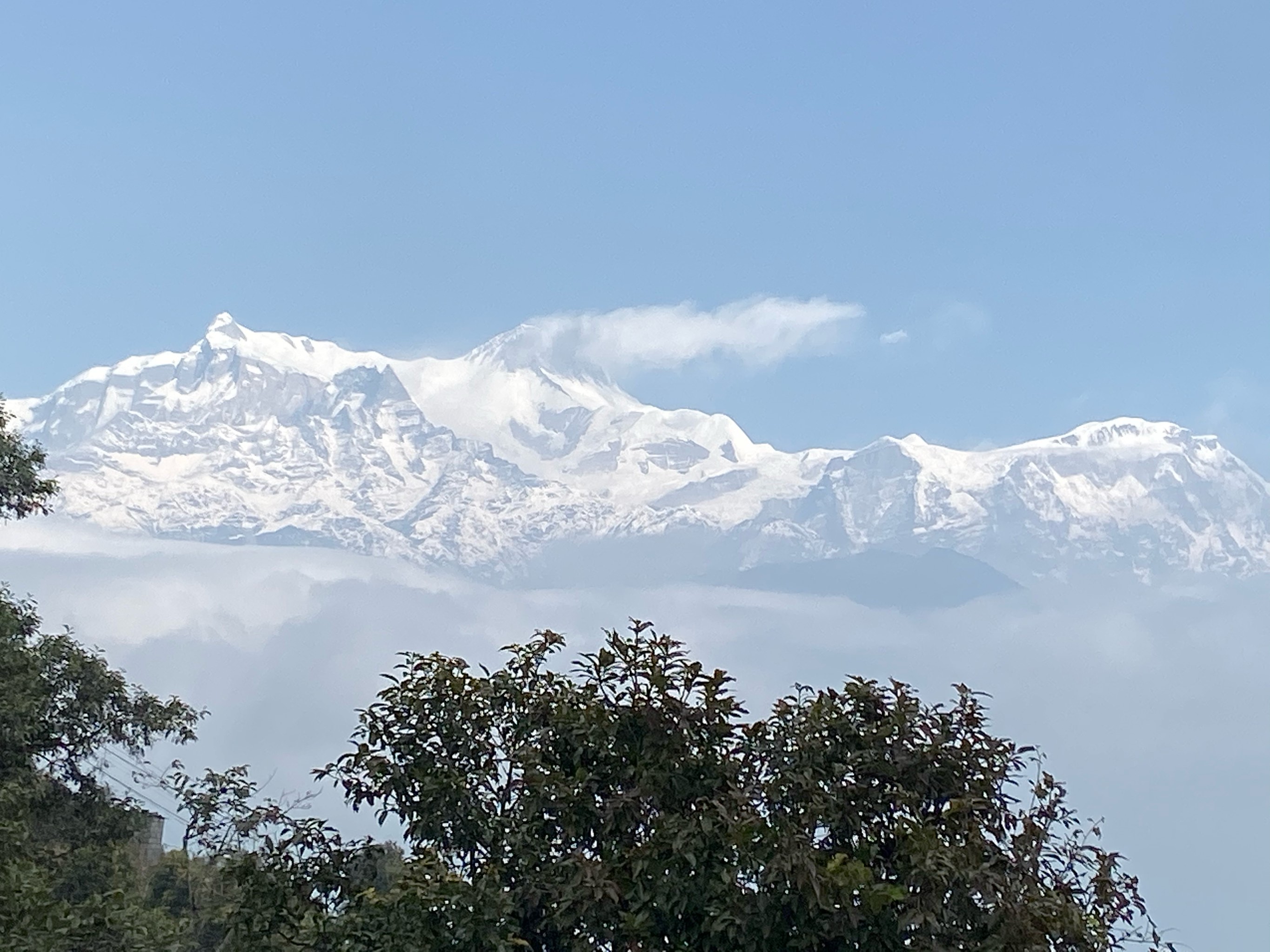 喜马拉雅山南麓植被图片