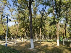-青龙湖公园