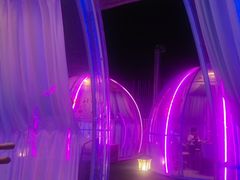 -南门四季铜锅涮肉(大屯·北苑店)