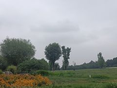 -汉长安城未央宫国家考古遗址公园