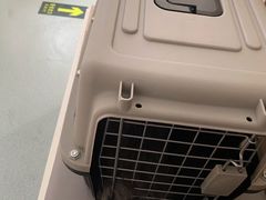 -瑞派·关忠动物医院·猫专科·犬专科(三环新城店)
