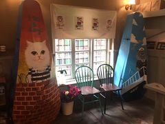 -猫咪博物馆(顶澳仔猫街店)