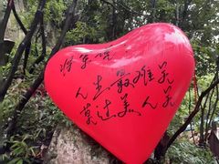 -将军关探险漂流