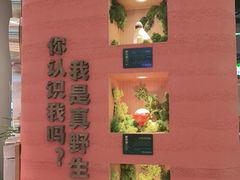 -首开·龙湖成都西宸天街