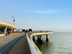 -演武大桥观景平台