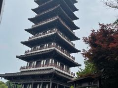 -宜兴龙背山森林公园