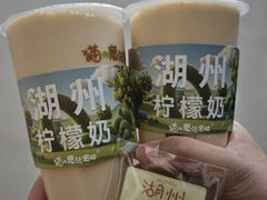 -猫的魔法密林(衣裳街店)