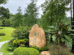-云溪植物园