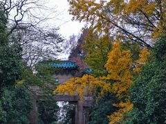 -灵谷景区