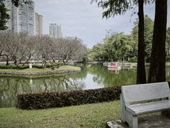 -晓港公园