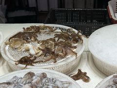 -桃源市场(解放路店)