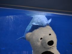 -泉城欧乐堡海洋极地世界