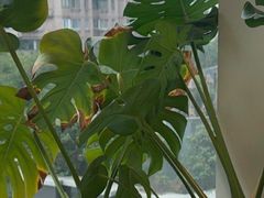 -安肯心理咨询(长宁旗舰店)