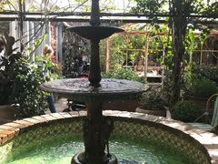 -The Grounds of Alexandria
