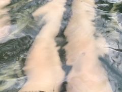 -龙达温泉生态城