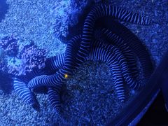 -哈尔滨波塞冬海底世界