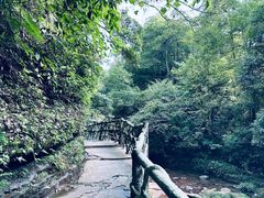 -碧峰峡风景区