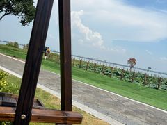 -七的湖·晚芳亭·阳澄湖农家菜·大闸蟹(莲花岛店)