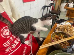 -鸿顺老铁锅美蛙鱼府(解放碑店)